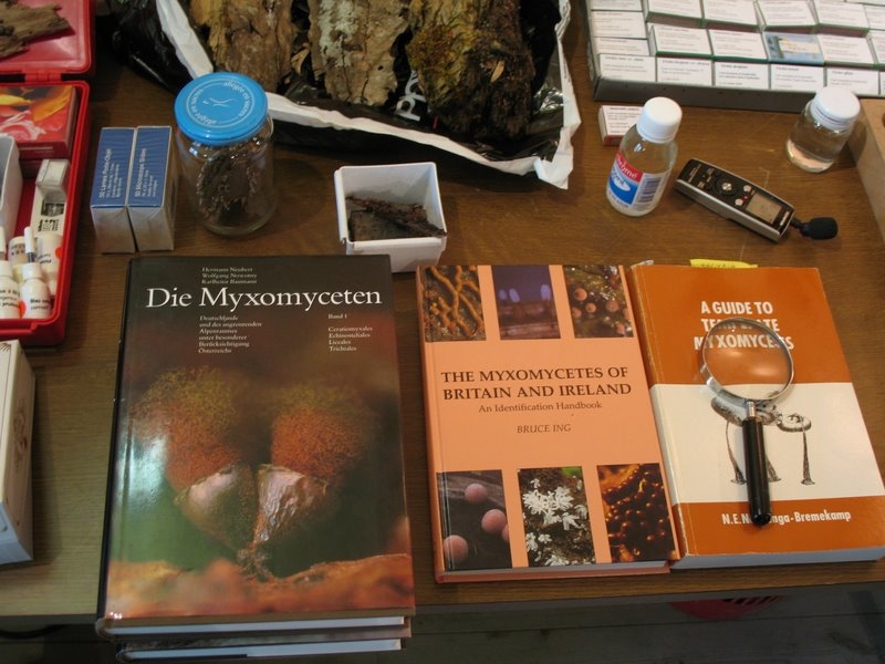 2008   Atelier myxo   Quelques livres